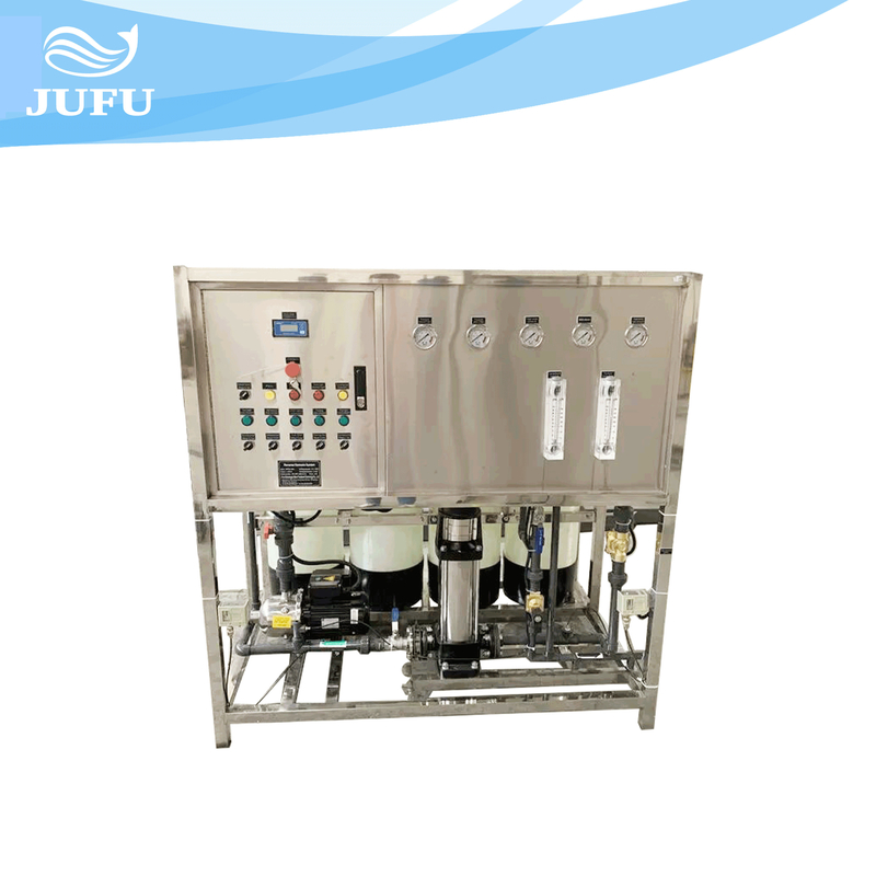 500LPH Water Purifying System Two Stage Reverse Osmosis Pure Water Equipment